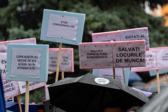 Továbbra sincs előrelépés, Bukarestbe mennek tiltakozni a vegyipari kombinát szakemberei