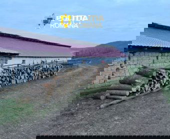 Makfalvi razzia: falopás gyanúja miatt hallgattak ki tizennyolc embert