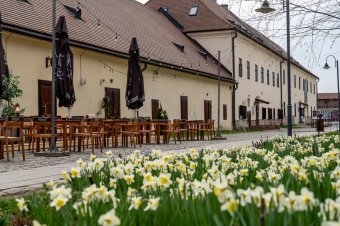 Vasárnapi ebéd a Várban? Erről is határoztak a maratoni tanácsülésen