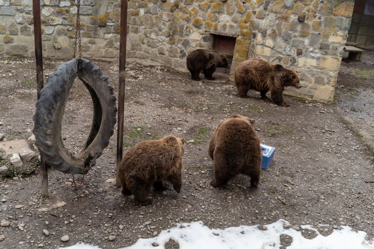 Kokkolino és társai szerint rövid lesz az idei tél