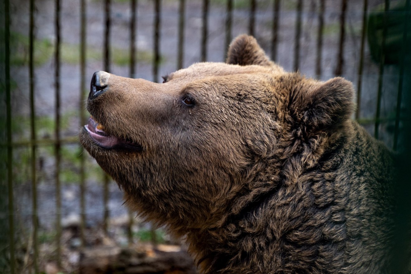 &bullet;  Fotó: Haáz Vince