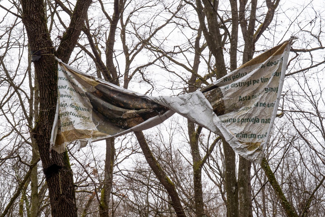 &bullet;  Fotó: Haáz Vince