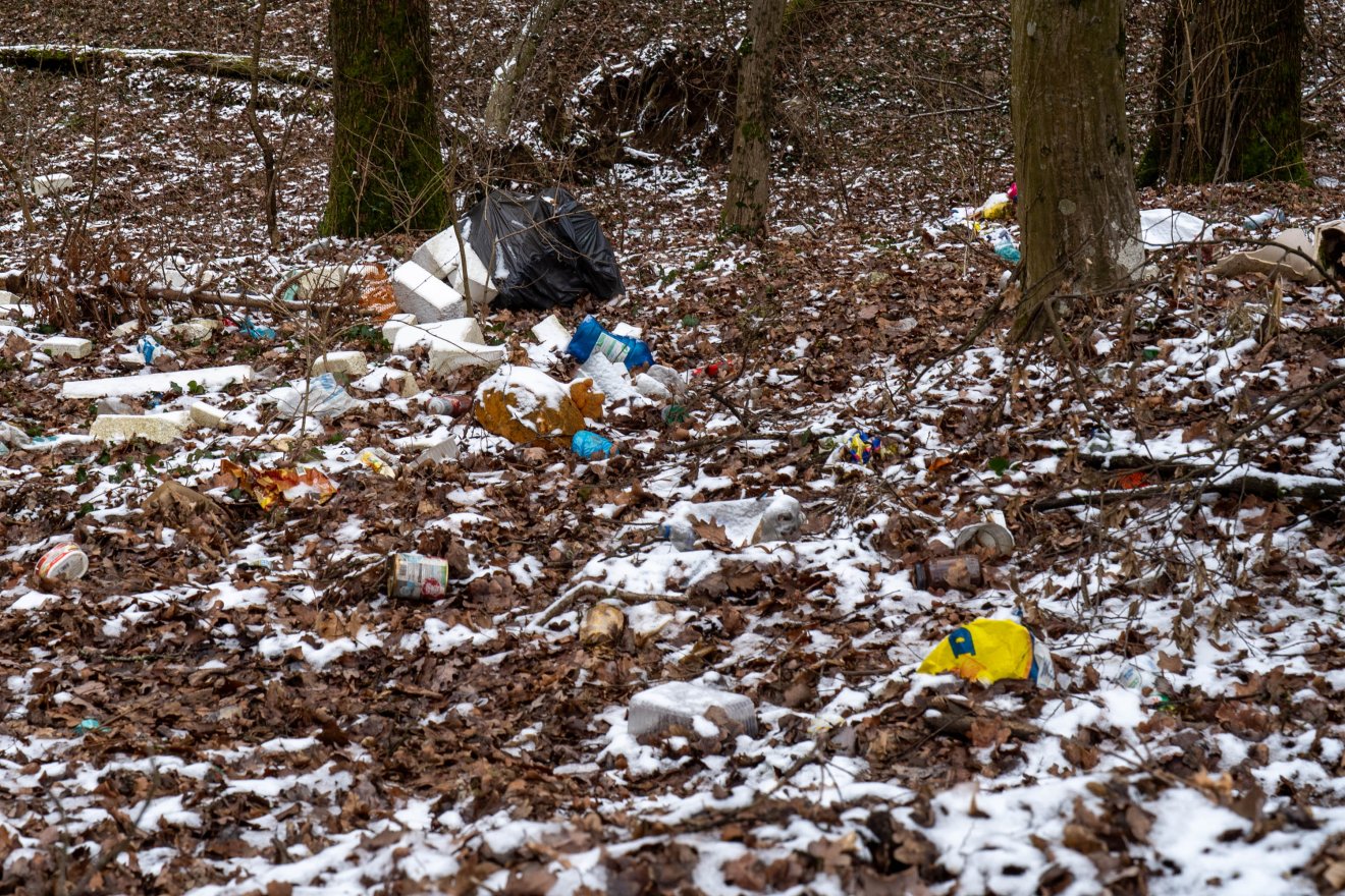 &bullet;  Fotó: Haáz Vince