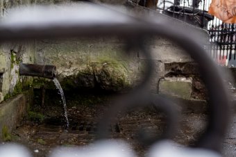 Figyelem: tíz közkút és forrás vizéből csak egy iható Maros megyében