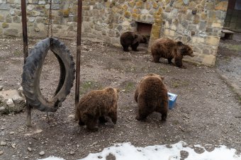 Kokkolino és társai szerint rövid lesz az idei tél