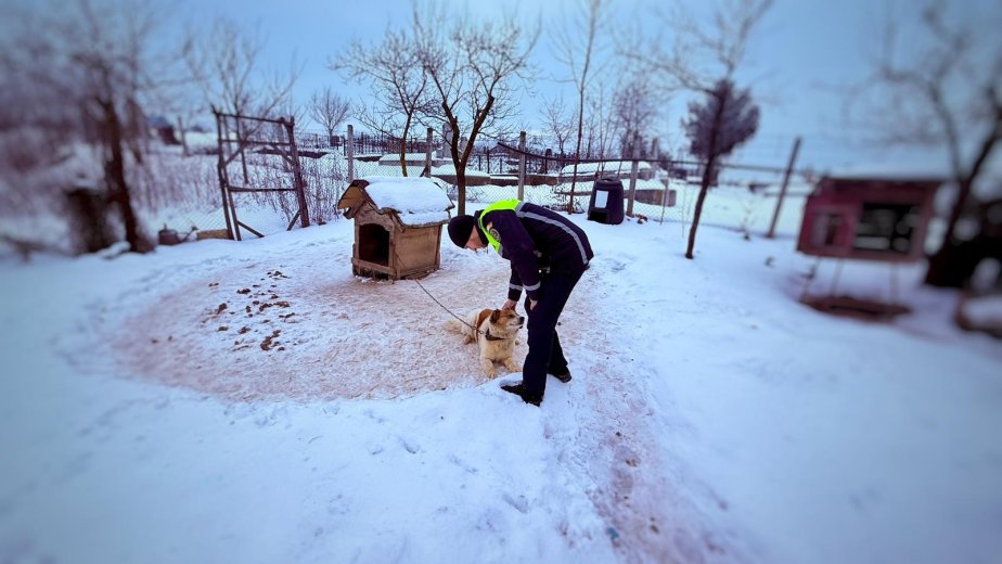 Kutyaól, ivóvíz és élelem – ha ezek hiányoznak, akkor jöhet a bírság