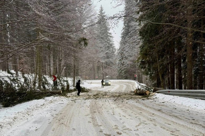 Kidőlt fa okozott fennakadást Hargitafürdőn