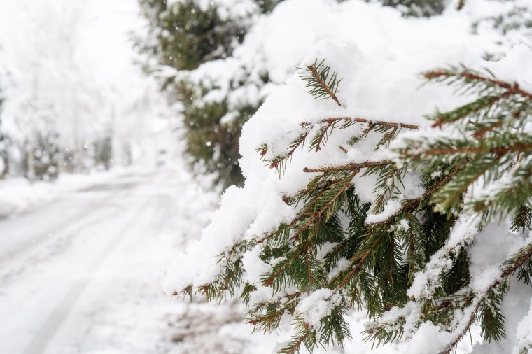 További havazás érkezik Székelyföldre, több napig kitart a télies idő
