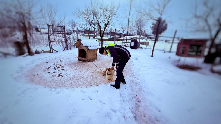 Kutyaól, ivóvíz és élelem – ha ezek hiányoznak, akkor jöhet a bírság