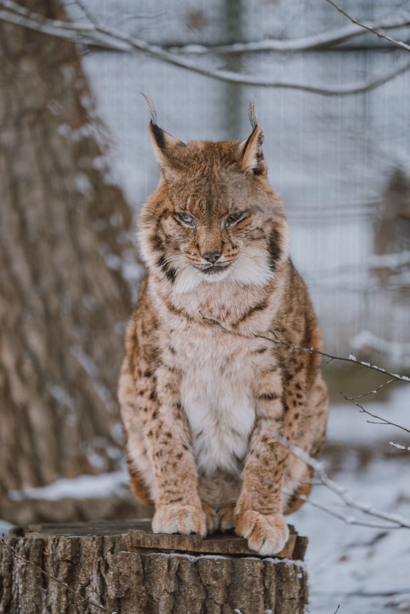 &bullet;  Fotó: Marosvásárhelyi polgármetseri hivatal