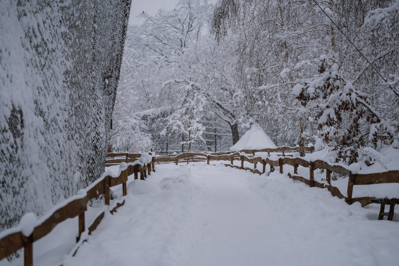 Jól áll a tél az állatkertnek &bullet;  Fotó: Marosvásárhelyi polgármetseri hivatal