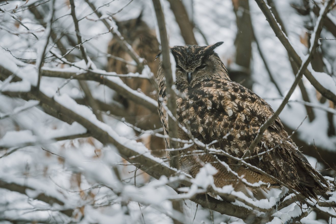&bullet;  Fotó: Marosvásárhelyi polgármetseri hivatal