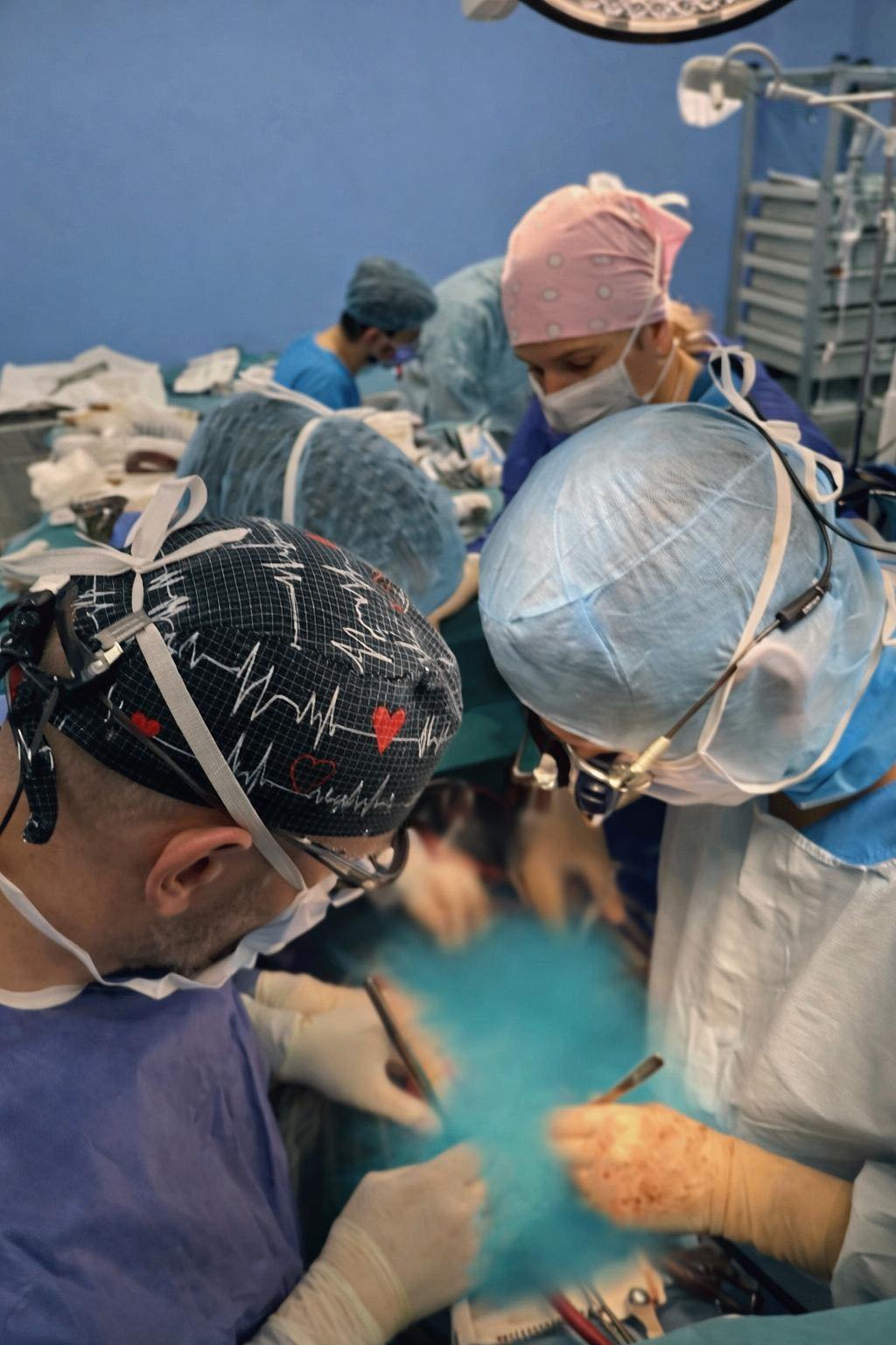 Az életmentő műtét öt órát vett igénybe