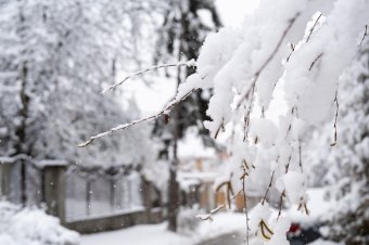 Kifehéredett Székelyföld szombat reggelre