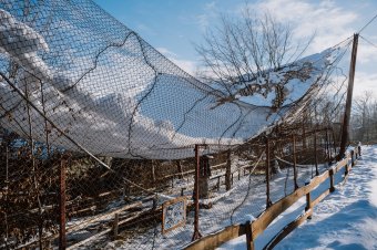 A hó súlya alatt beomlott a marosvásárhelyi állatkert egyik röpdéje