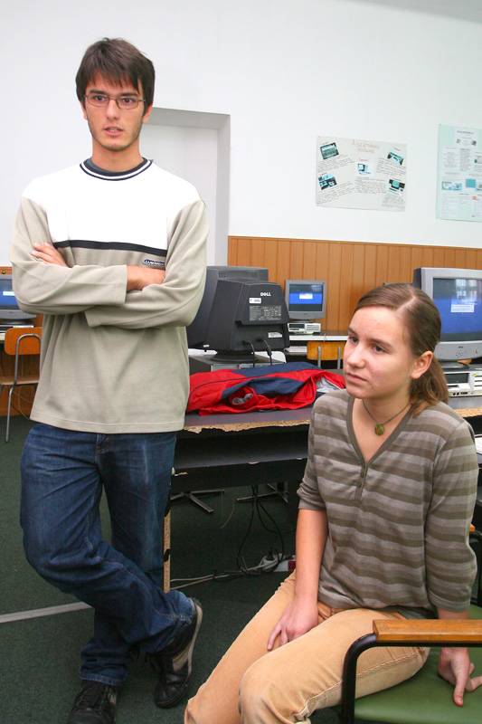 Az aranymetszést kutatják a bolyaisok