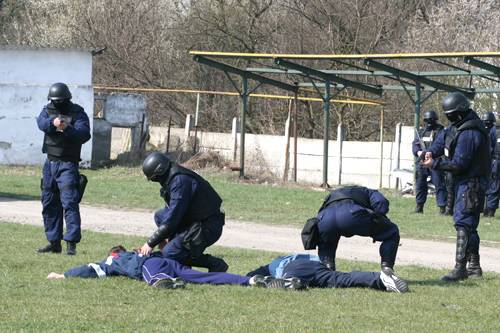 Ha egy bűnszervezet lebukik