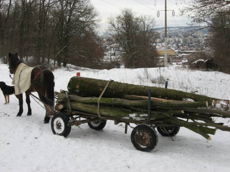 Heten, s mind fatolvajok