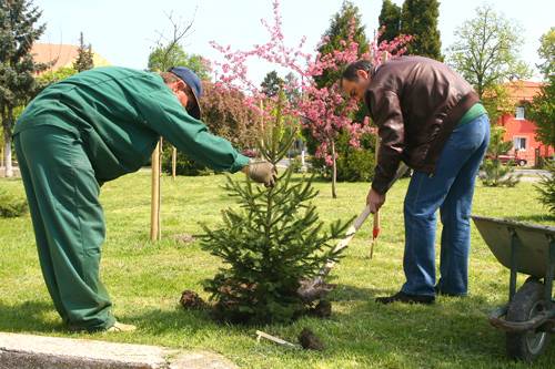 Hamarosan lehet facsemetét igényelni