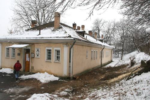 Rádőlt egy fa a klinikára