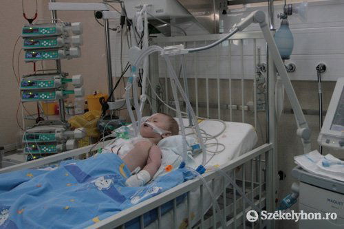 • Fotó: Boda L. Gergely