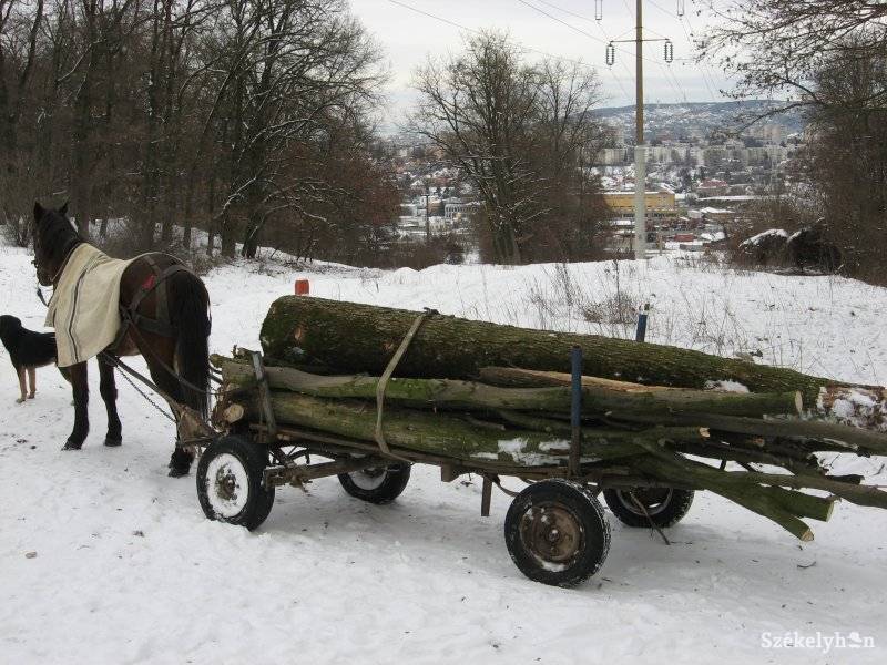 • Fotó: csendőrség