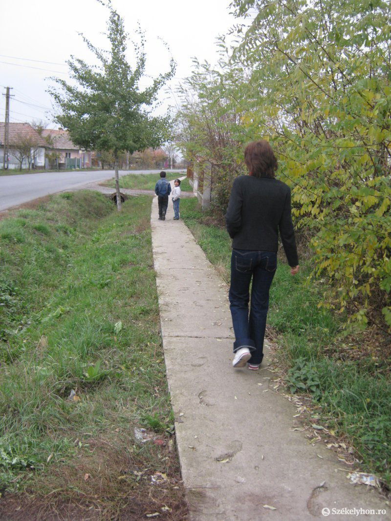 •  Fotó: Boda L. Gergely