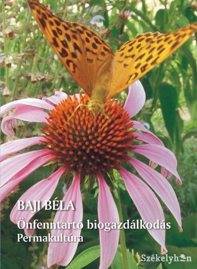 •  Fotó: illusztráció