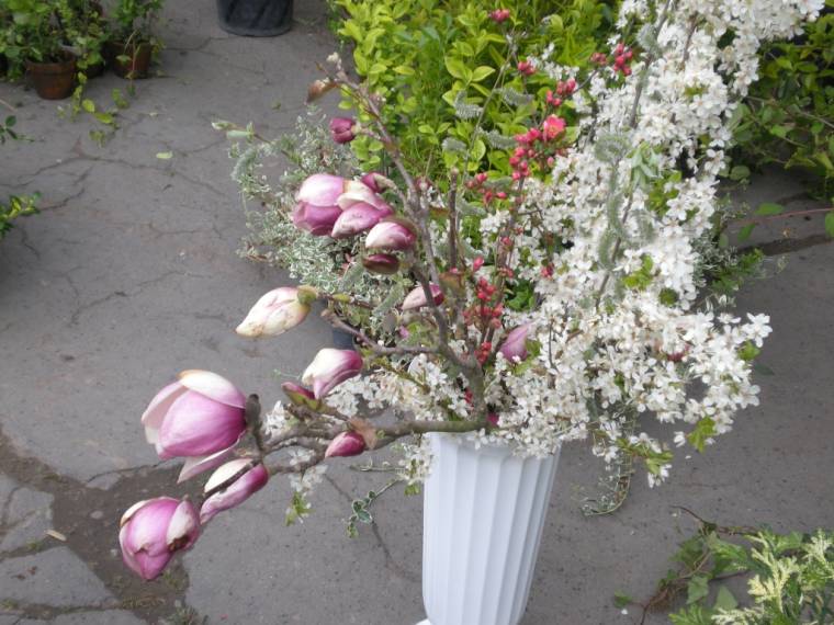 Virágparádé a virágok városában