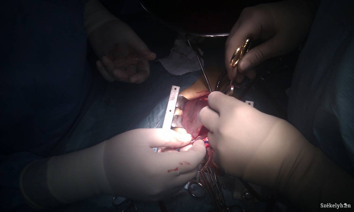 Képünk illusztráció •  Fotó: SCJU