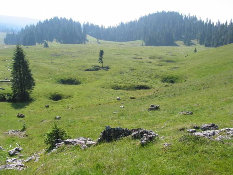 Találkozásom a természettel – pályázat iskolásoknak
