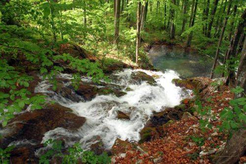 Photo Natura a globális felmelegedés jegyében