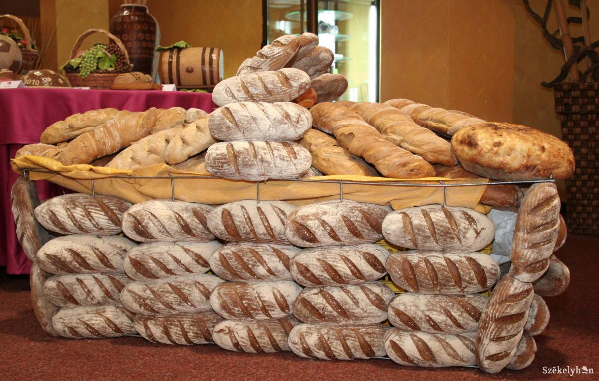 •  Fotó: Haáz Vince