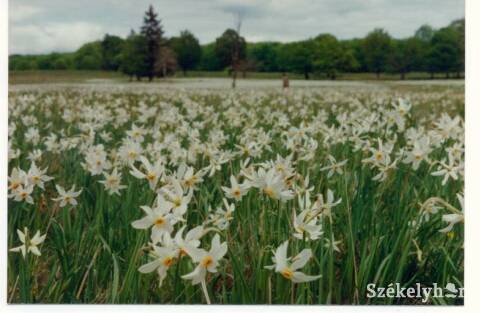 &bullet;  Fotó: Pro Biciclo Urbo