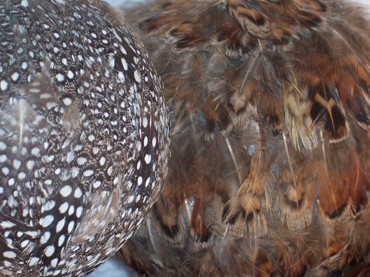 Mit keres a toll a fenyőfán?