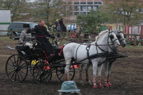 Fogathajtó Balkán-bajnokság Marosvásárhelyen