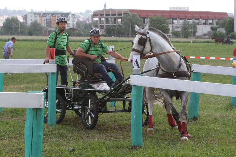 Nemzetközi fogathajtó verseny Marosvásárhelyen