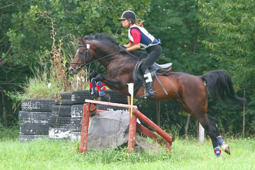 Lovastusa Románia-kupa Marosvásárhelyen