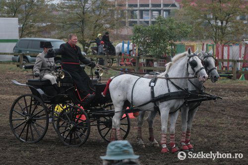 • Fotó: Boda L. Gergely