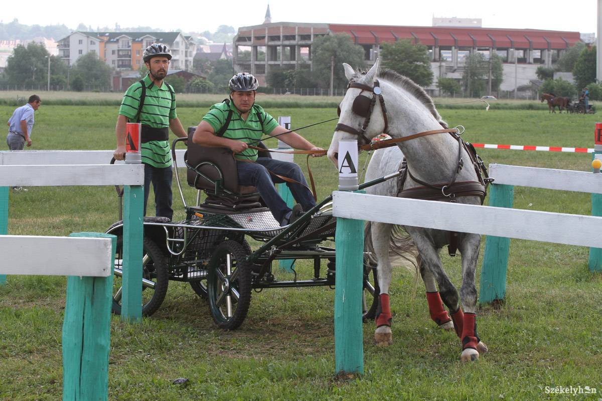 &bullet;  Fotó: Boda L. Gergely