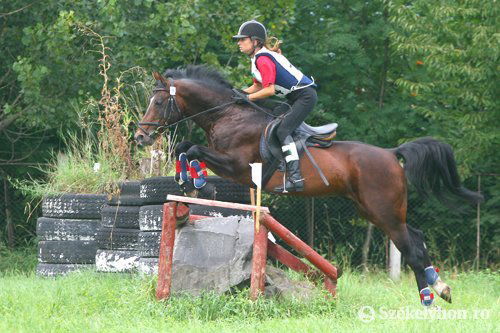 &bullet;  Fotó: Boda L. Gergely