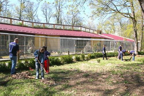 Nem sétálni indultak az állatkertbe a sérült fiatalok