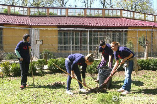 •  Fotó: Boda L. Gergely