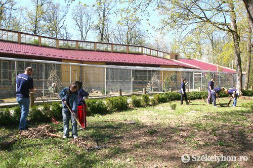 • Fotó: Boda L. Gergely