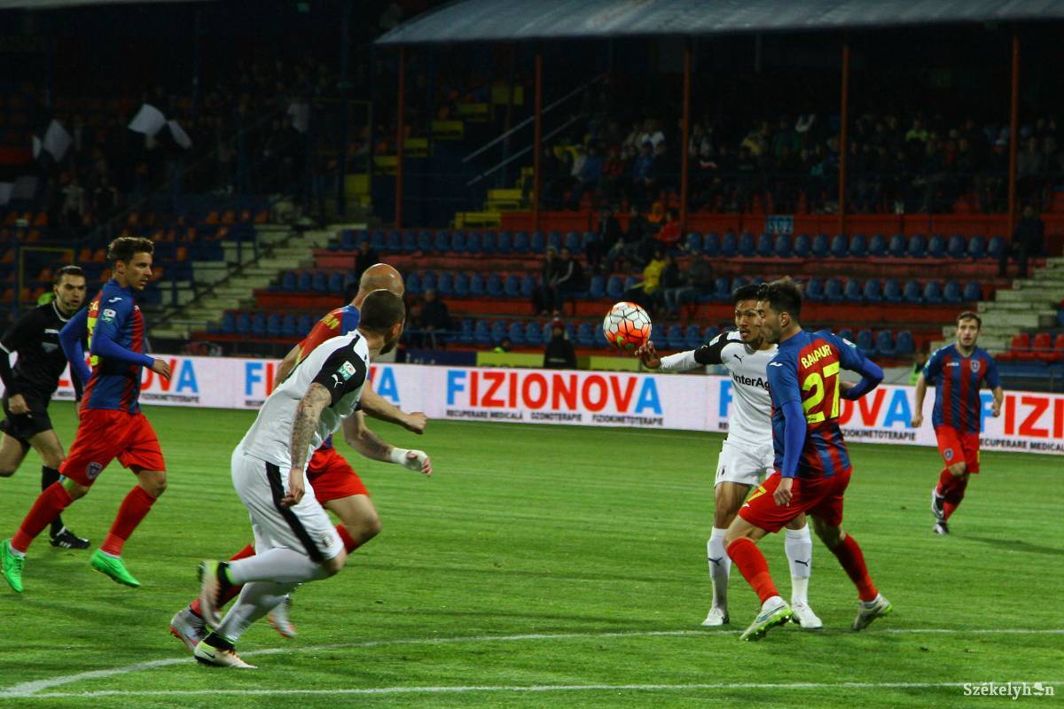 •  Fotó: Boda L. Gergely