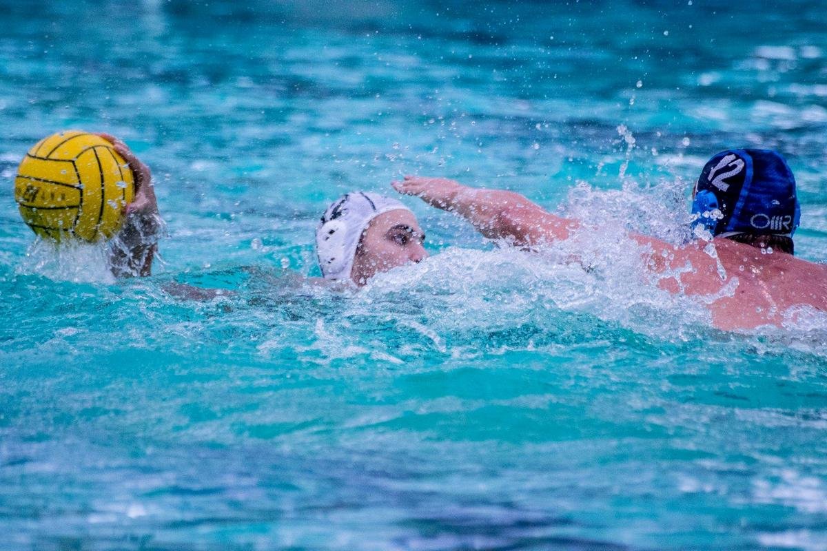 &bullet;  Fotó: Facebook/CSM Oradea Polo - Oficial