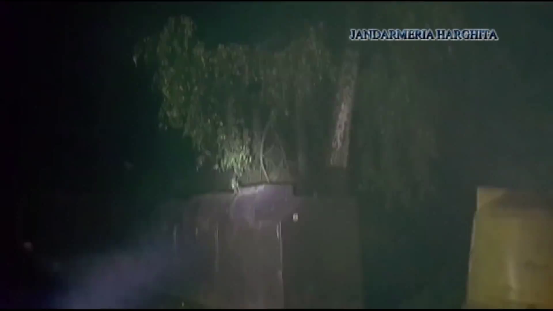 Csendőrök szabadították ki a medvebiztos kukába rekedt bocsot