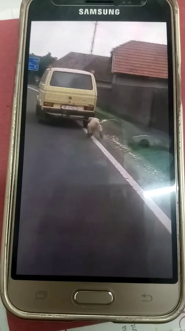 Azonosították a kutyát autóval vonszoló csíkszentkirályi férfit