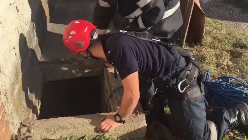 Kiskutyákat mentettek a tűzoltók