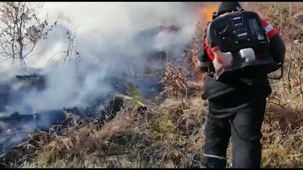 Fakitermelésből hátramaradt rönkök gyulladtak ki, közel húsz hektáron pusztított a tűz